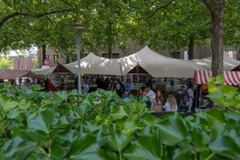 International Day Against Drug Abuse 2026: TruColours viert herstel en preventie in A'dam