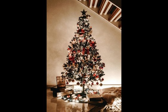 Recordopbrengst inzameling kerstbomen 