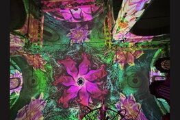 Lichtshow Eonarium Enlightenment laat Vivaldi tot leven komen in de Oosterkerk