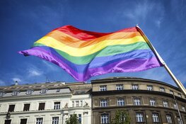 Helden internationale lhbtiq+-gemeenschap krijgen tegel op ‘Walk of Pride’