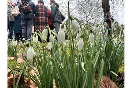 Wandeling door het arboretum van de De Nieuwe Ooster: winter met een vleugje lente