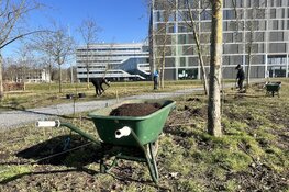 Erehaag voor Amsterdam krijgt vorm op Science Park