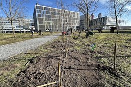 Erehaag voor Amsterdam krijgt vorm op Science Park