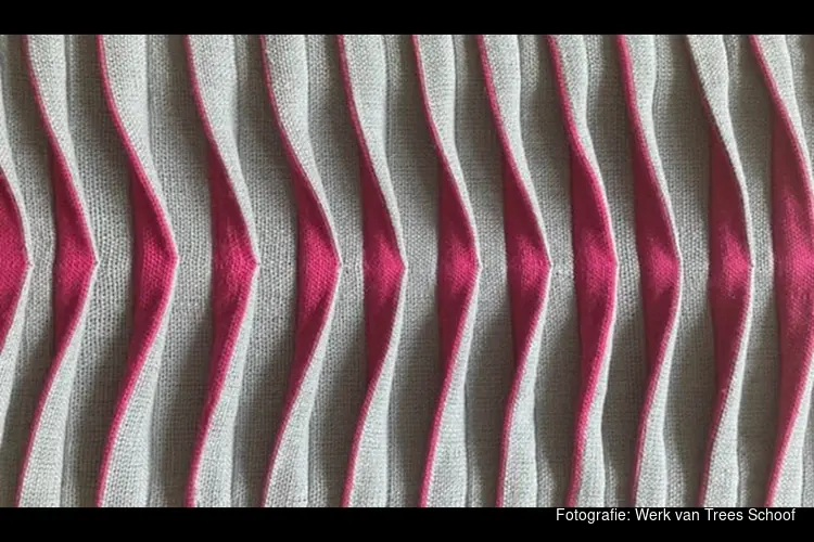 Kunststad Muiden zondag 1 maart