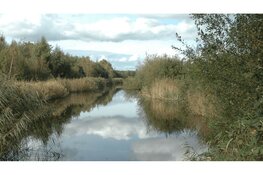 Beheer Diemerbos tijdelijk veiliggesteld