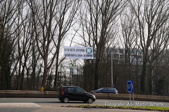 Klimmers hangen spandoek bij Utrechtsebrug tegen kap van 600 bomen