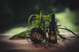 CBD kopen: kies pas na batchtest en heldere dosering