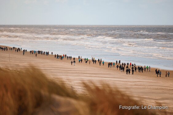 Ruim 6.000 wandelaars genieten van sportieve dag tijdens 30 van Zandvoort