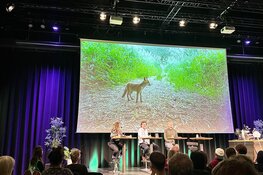 Verborgen natuur van Amsterdam komt tot leven in Pakhuis de Zwijger