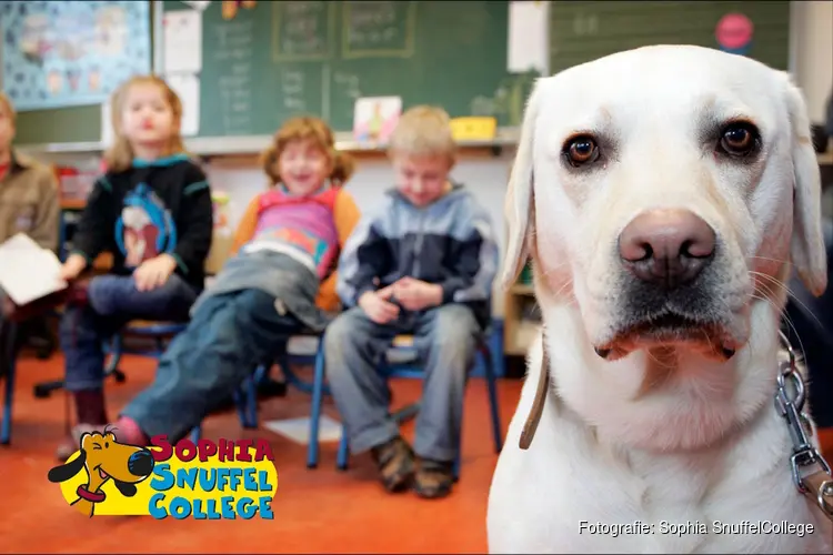 Hond voor de klas op Tijl Uilenspiegelschool in Amsterdam