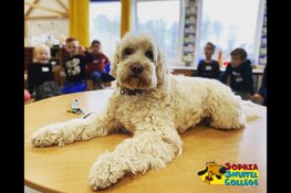 Hond voor de klas op Tijl Uilenspiegelschool in Amsterdam