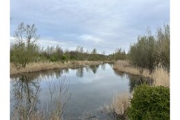 Vogelwerkgroep Amsterdam verkent het Schinkelbos