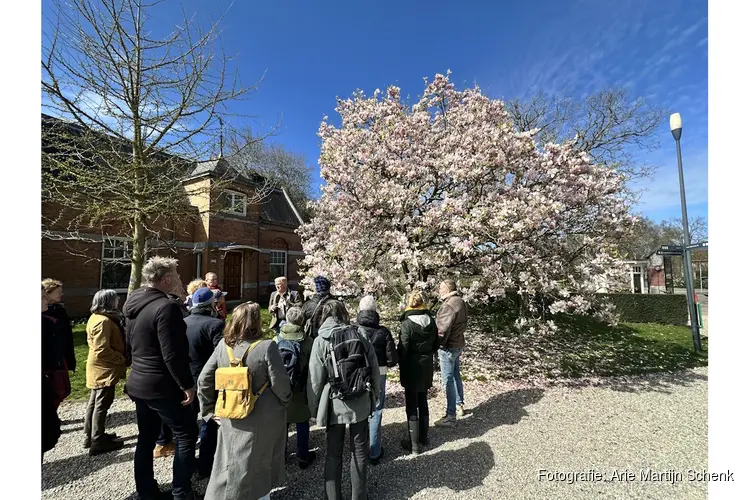 Bomenwandeling in het arboretum: voorjaar tussen bloei en bestuiving