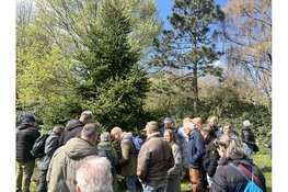 Bomenwandeling in het arboretum: voorjaar tussen bloei en bestuiving