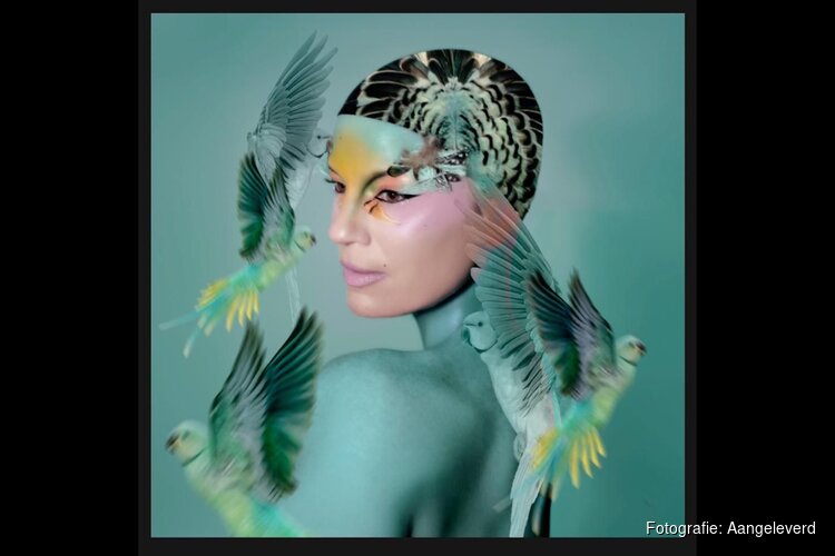 Waar Amsterdam en art elkaar ontmoeten: bijzondere samenwerking in Oost