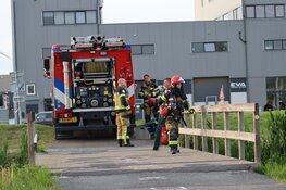 Snoeihout in brand gestoken in park Amsterdam