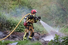 Snoeihout in brand gestoken in park Amsterdam