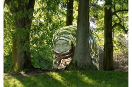 Synergy City transformeert Amsterdam deze zomer in een levende tentoonstelling