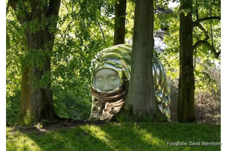 Synergy City transformeert Amsterdam deze zomer in een levende tentoonstelling