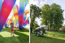 Synergy Art Festival brengt kunst, muziek en verwondering naar het Flevopark