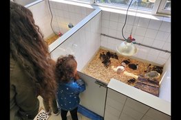 Open dag Vogel- en Zoogdierenopvang De Toevlucht op zondag 28 juni
