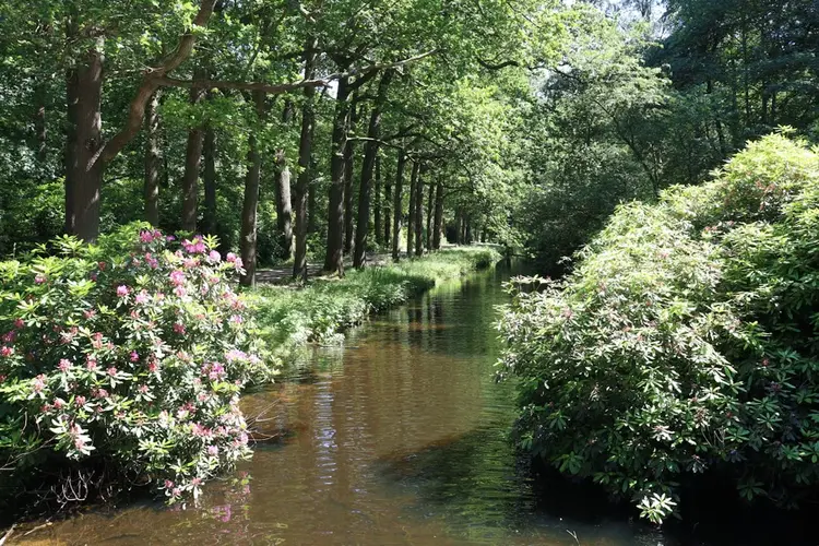 Weg uit de stad: waarom Amsterdammers steeds vaker kiezen voor een eigen vakantiehuis in de natuur