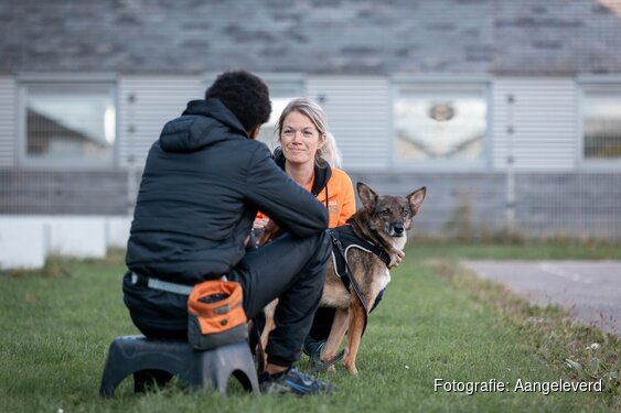Dutch Cell Dogs opent unieke ‘Love Chapel’ tijdens Pride Amsterdam