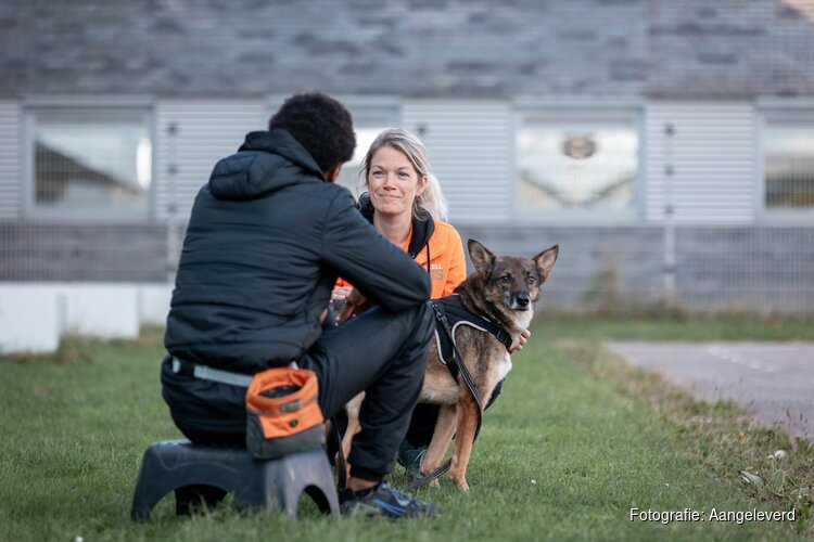 Dutch Cell Dogs opent unieke ‘Love Chapel’ tijdens Pride Amsterdam