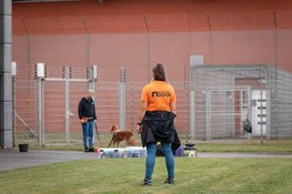 Dutch Cell Dogs opent unieke ‘Love Chapel’ tijdens Pride Amsterdam