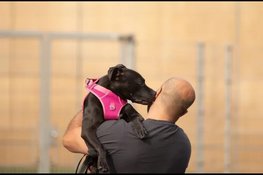 Dutch Cell Dogs opent unieke ‘Love Chapel’ tijdens Pride Amsterdam