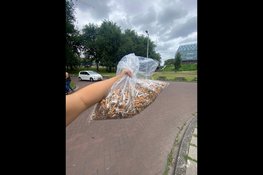 5.500 sigarettenpeuken opgeruimd in Amsterdam Zuidoost tijdens Plastic PeukMeuk Dag