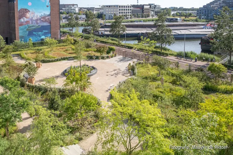 Amsterdams park verandert steeds van kleur