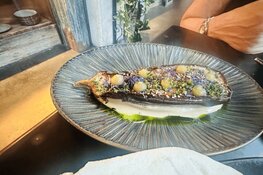 Verrassende plantaardige smaken bij Mr. Watson aan de Wibautstraat