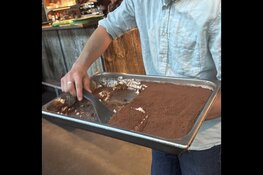 Verrassende plantaardige smaken bij Mr. Watson aan de Wibautstraat