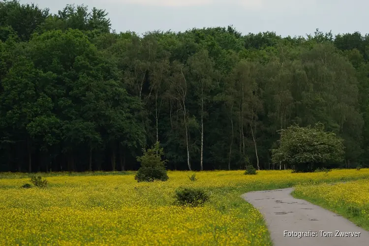 Amsterdamse Bos laat verborgen natuur zien in tweede editie van Het Onzichtbare Zichtbaar