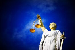 800 kg drugs aangetroffen in Amsterdamse haven