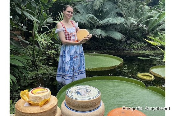 Reuzenwaterlelie gaat voor goud