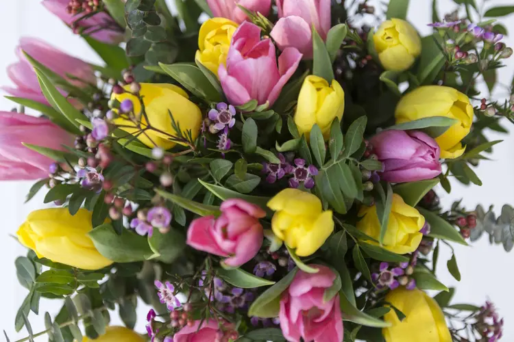 Duurzame bloemen laten bezorgen in Amsterdam: waar let je op?