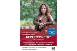 Pianissimo Trio brengt Beethoven, Brahms en Dvořák naar de Van Houtenkerk
