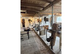 Koeien, schapen en paarden bij Galerie Mokum in Amsterdam