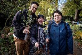 Nog één keer gratis bomen: De Gezonde Stad deelt 4.000 bomen uit tijdens laatste editie van Bomen voor Amsterdam