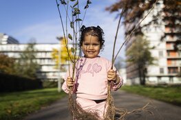 Nog één keer gratis bomen: De Gezonde Stad deelt 4.000 bomen uit tijdens laatste editie van Bomen voor Amsterdam