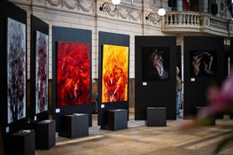 Een veelzijdige blik op het paard: 29 kunstenaars op de Dutch Equine Art Fair