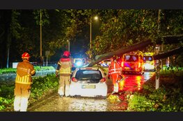 Zwaargewonde nadat boom op rijdende auto valt in Amsterdam