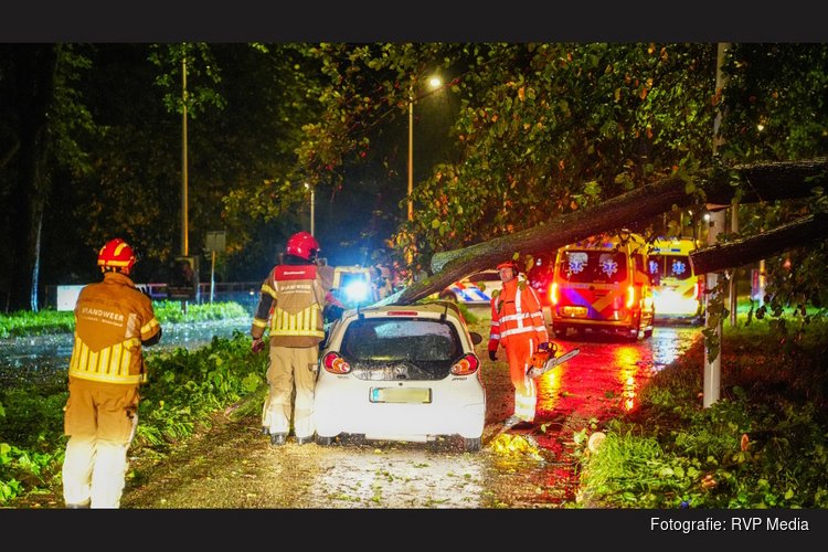 Zwaargewonde nadat boom op rijdende auto valt in Amsterdam