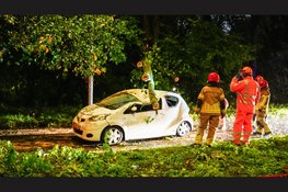 Zwaargewonde nadat boom op rijdende auto valt in Amsterdam