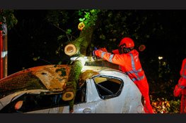 Zwaargewonde nadat boom op rijdende auto valt in Amsterdam