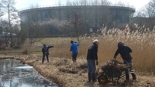 Natuurwerkdag in de Waternatuurtuin Westerpark