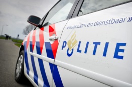Onbekende bestuurder rijdt tegen boom